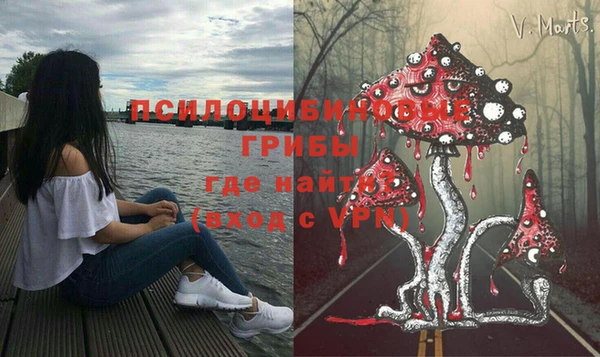 СК Богородицк