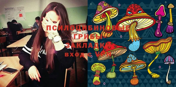 СК Богородицк