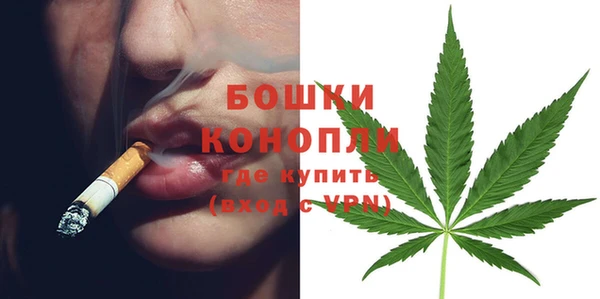 твердый Верхний Тагил