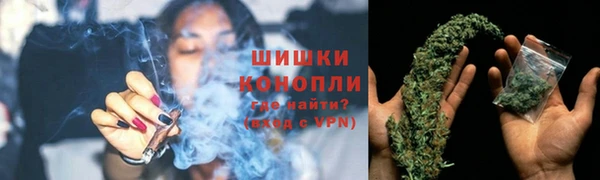 винт Верея