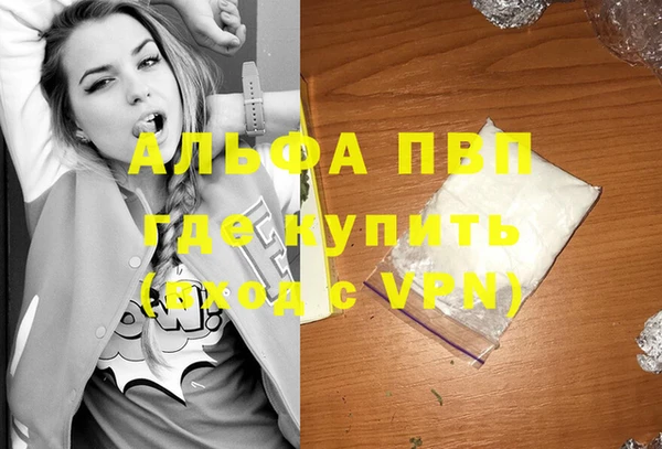 СК Богородицк